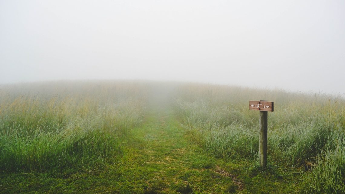 Open tall green grass field in fog with a path and a sign pointing two directions