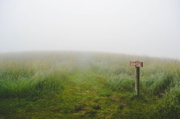 Open tall green grass field in fog with a path and a sign pointing two directions